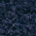 Deeper Navy